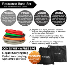 TheFitLife Exercise Resistance Bands with Handles - 5 Fitness Workout Bands Stackable up to 250 lbs, Training Tubes with Large Handles, Ankle Straps, Door Anchor, Carry Bag