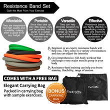 TheFitLife Exercise Resistance Bands with Handles - 5 Fitness Workout Bands Stackable up to 300 lbs, Training Tubes with Large Handles, Ankle Straps, Door Anchor, Carry Bag