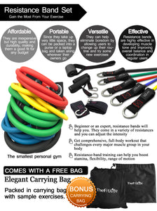 TheFitLife Exercise Resistance Bands with Handles - 5 Fitness Workout Bands Stackable up to 150 lbs,, Training Tubes with Large Handles, Ankle Straps, Door Anchor Attachment, Carry Bag and Bonus eBook