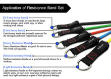 TheFitLife Exercise Resistance Bands with Handles - 5 Fitness Workout Bands Stackable up to 110 lbs, Training Tubes with Large Handles, Ankle Straps, Door Anchor Attachment, Carry Bag and Bonus eBook
